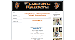 Desktop Screenshot of flushingkarate.com